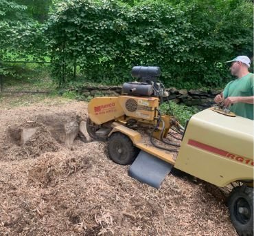 Best Landscaping Service