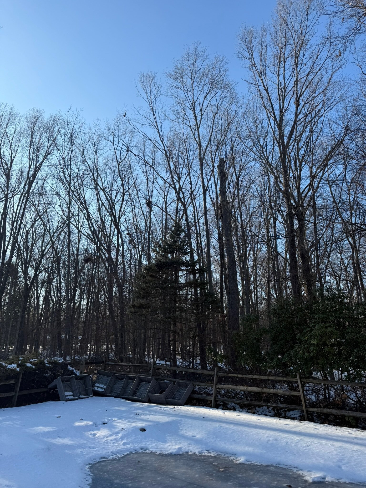 Trailblazer Turf & Timber landscaping project
