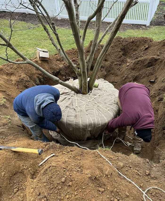 Landscape Installation