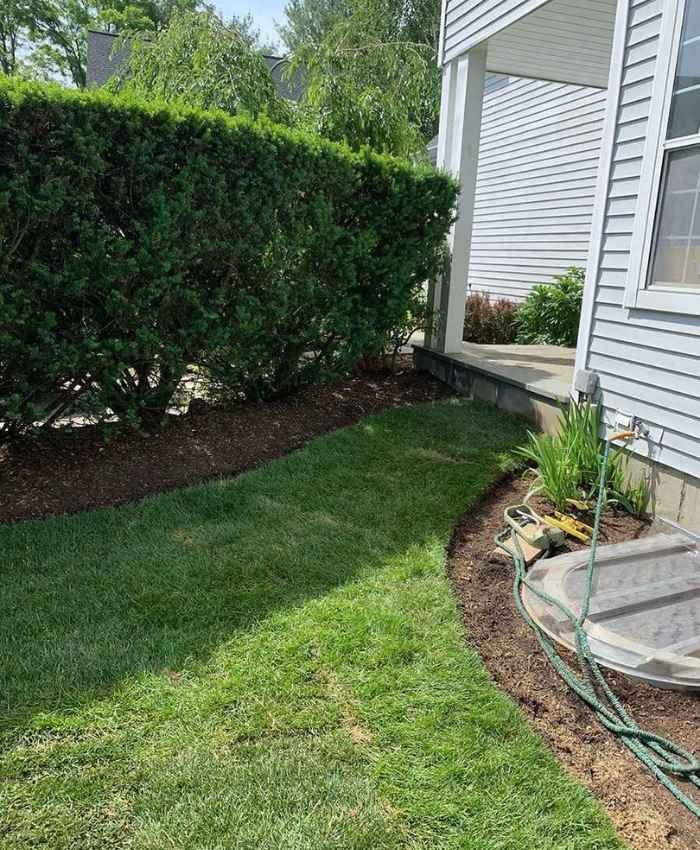 Mulching For Your Garden