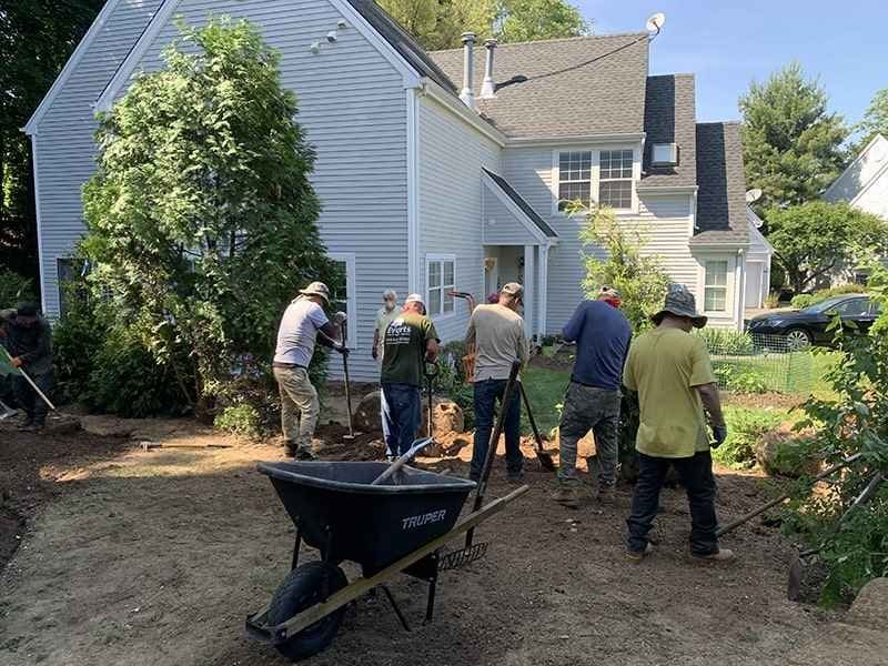 Premium Quality Mulch