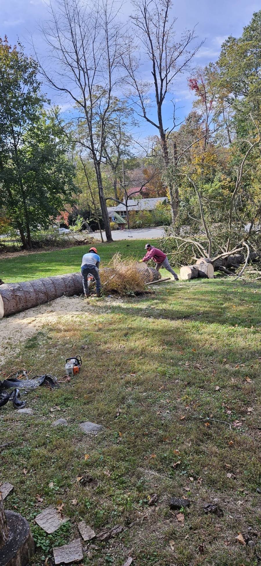 Trailblazer crew cutting up a removed tree in Bedford Hills, NY