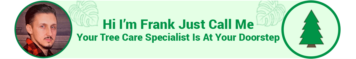 Hi I'm Frank Just Call Me — Your Tree Care Specialist Is At Your Doorstep