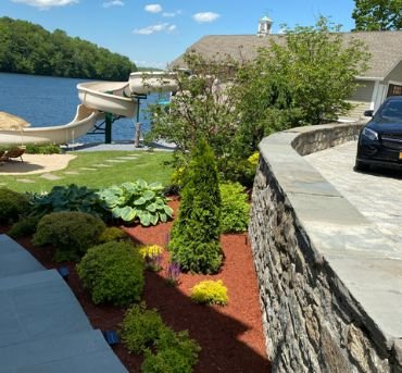 Stump Grinding Service Near You