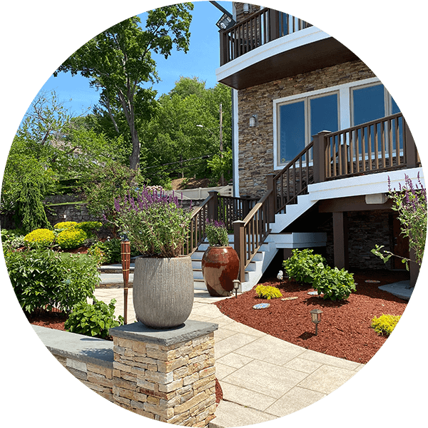 Tree Specialist Near You